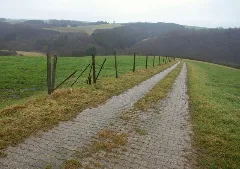 Feldweg Nahe Rodershausen (Farm Track Near Rodershausen) Geo.hlipp.de 23405