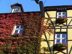 Fenstern In Trarbach Geo.hlipp.de 689