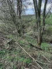 Fessbach 202104 11