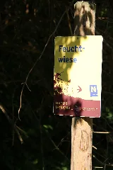 Feuchtwiese Heiligenkreuz 01