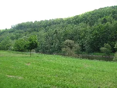 Ffh 4523 331, Fulda Zwischen Wahnhausen Und Bonaforth, 1, Speele, Staufenberg, Landkreis Göttingen