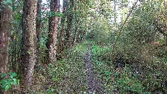 Ffh Gebiet Gammellunder See 01 (10 Von 20)