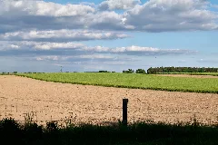 Field In Deetz 2024 05 11 01
