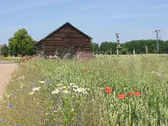 Field1 Kuhlowitz