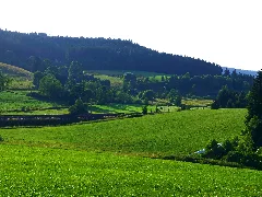Fields And Railroad Panoramio