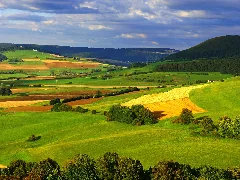Fields Panoramio (41)