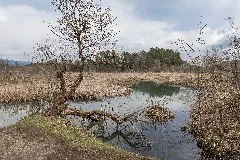 Finkenstein Am Faaker See Faak Am See Bachstraße Seebach 15042021 0802