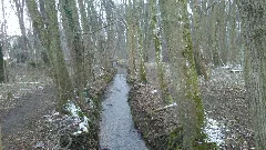 Fischbach (Gröbenbach)