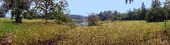 Fischbacher Moos Panoramio (1)