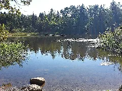 Fischbacher Moos2
