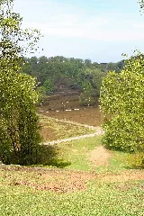 Fischbecker Heide 04