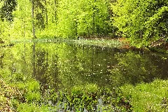 Fischgrube
