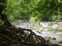 Fischtreppe An Der Rems Bei Waiblingen Panoramio