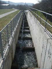 Fischtreppe An Der Wiese 01
