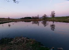 Fish Pond Panoramio (1)