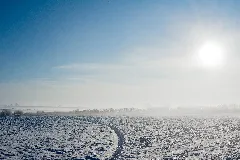 Flickr Laenulfean November Winter (1)