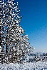Flickr Laenulfean November Winter (2)