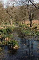 Floeth1