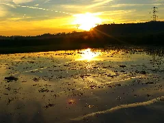 Flood Panoramio (7)
