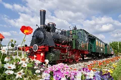 Flower Train (256646581)