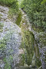 Flüebach 3
