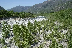 Flussbett Der Melezza Auf Der Höhe Von Tegna