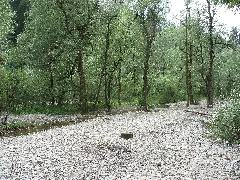 Flussbett Im Auslauf Der Starzlachklamm Panoramio