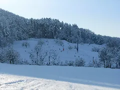 Foehrlimatt 03