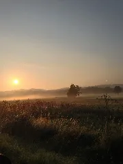 Foggy Morning