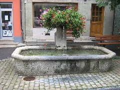 Fontaine Mauborget Centre Moudon