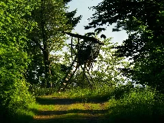 For The Hunter Panoramio