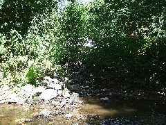 Forbach Einmündung Usa 2