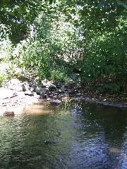 Forbach Einmündung Usa 3
