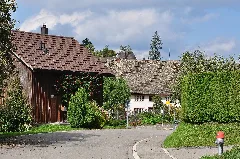 Forch Img 3899