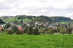 Forch Img 3903