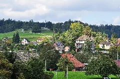 Forch Img 3908