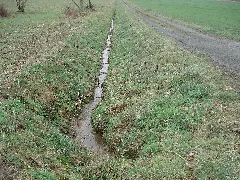 Forchbach 1