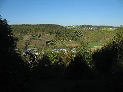 Forchtenberg Blick Büschelhof01 2011 10 16