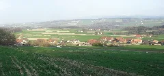 Forel Sur Lucens 2