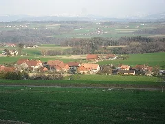 Forel Sur Lucens 3