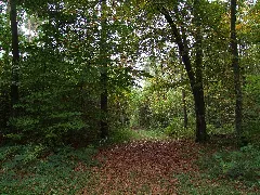 Forest Gump Panoramio