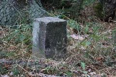 Forstabteilungsstein Duebener Heide (2)