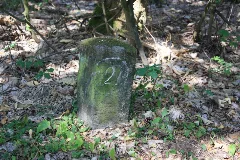 Forstabteilungsstein Reinharzer Forst (1)