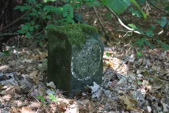Forstabteilungsstein Reinharzer Forst (4)