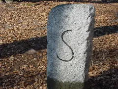 Forstgrenzstein Dh2A