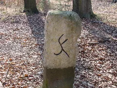 Forstgrenzstein Dh2B