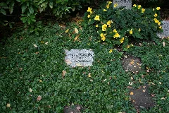 Franz Rudnick