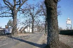 Franzbuchholz Schönerlinderstr Nord