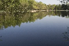 Freiberggrosserteich1