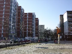 Freiburg Weingarten 2